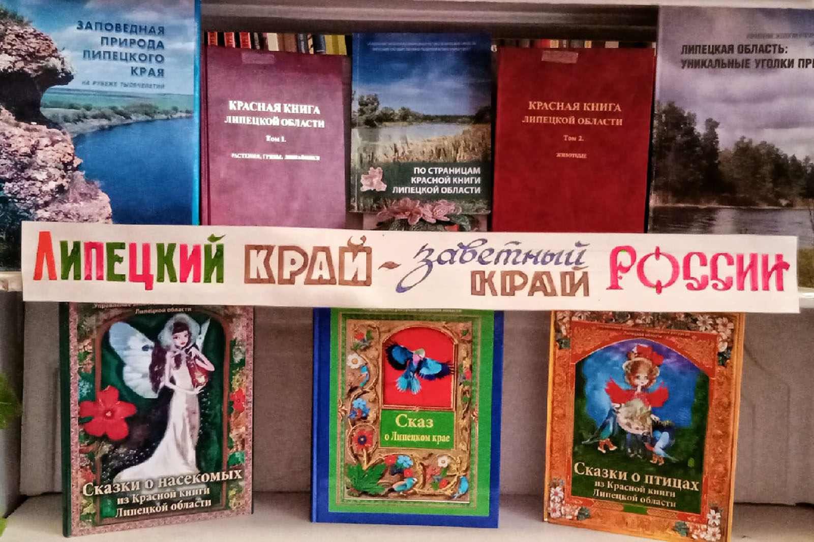 Read more about the article Липецкий край – заветный край России