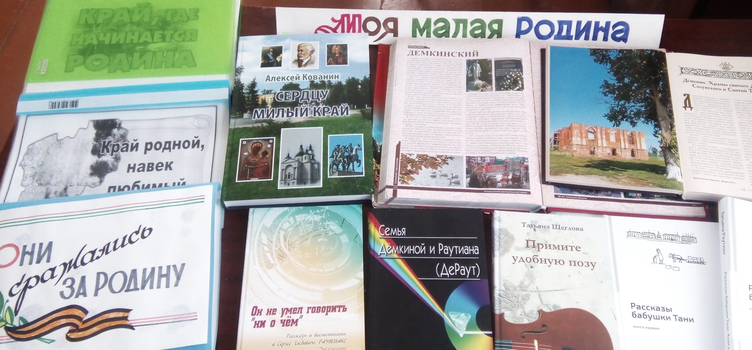Read more about the article Краеведческая выставка «Моя малая Родина» в Дёмкинской сельской библиотеке