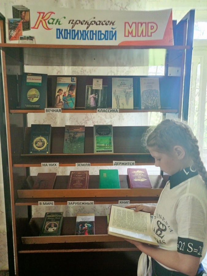Read more about the article В Лозовской сельской библиотеке действует книжная выставка «Как прекрасен книжный мир»