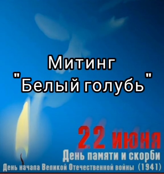 Read more about the article В селе Новое Петелино провели митинг, посвящённый Дню памяти и скорби.